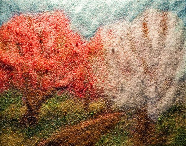 Келли МАККОЛЛАМ