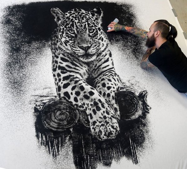 Дино Томич рисунки солью