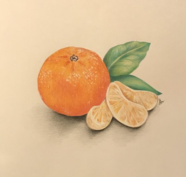Апельсин акварелью