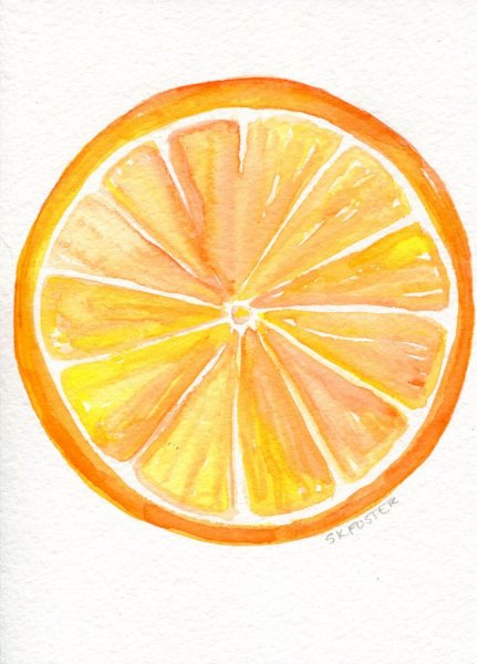 Долька апельсина акварель