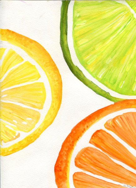 Дольки фруктов акварелью