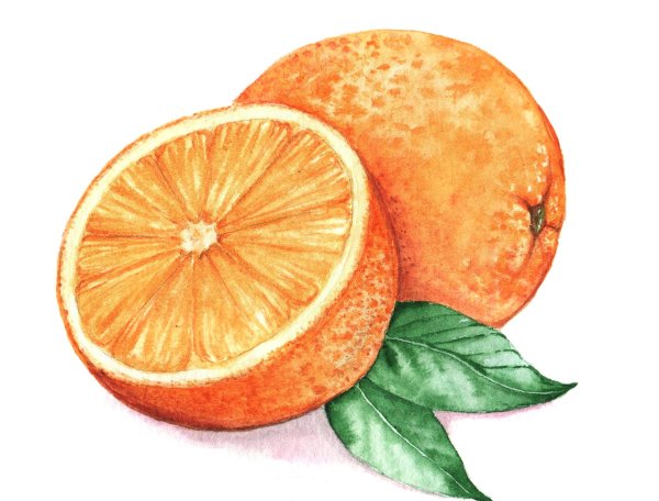 Апельсин акварелью