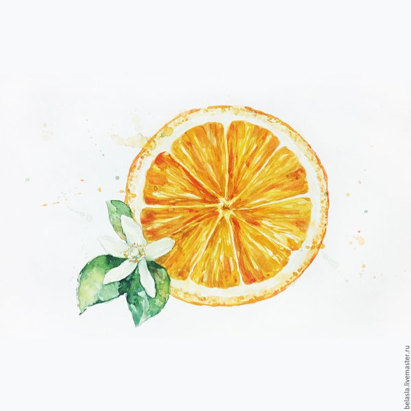 Апельсин акварелью
