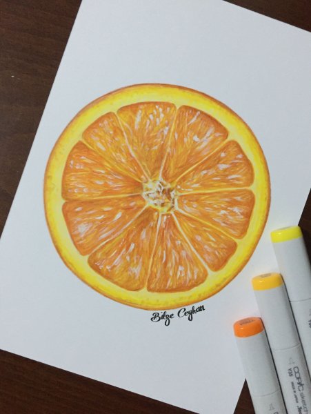 Фрукты фломастерами