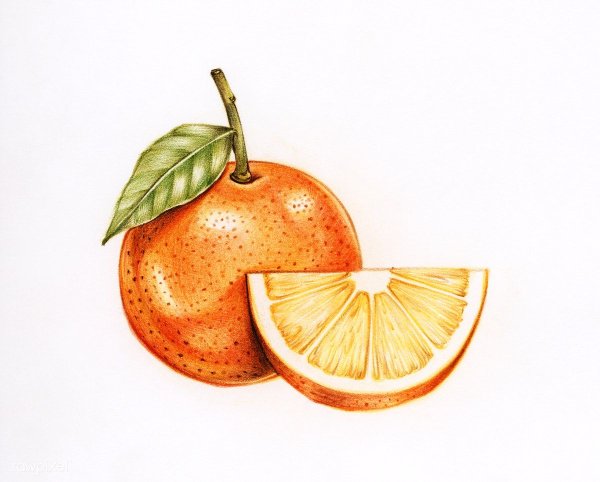 Скетч фрукты