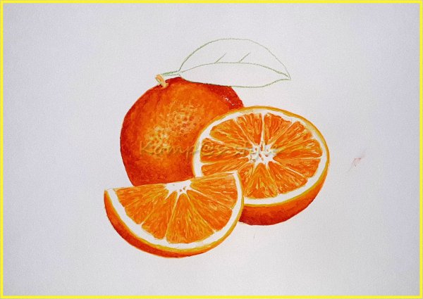 Апельсин цветными карандашами