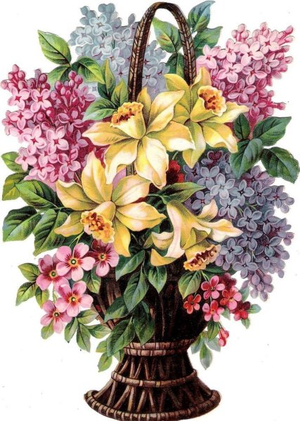 Цветы иллюстрация