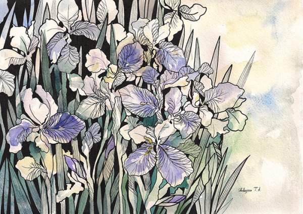 Ирисы дудлинг