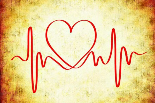 Кардиограмма сердца рисунок