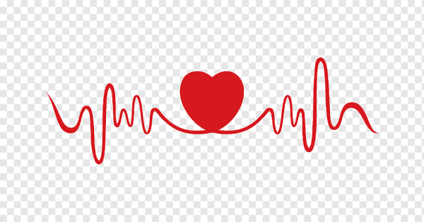 Кардиограмма сердца