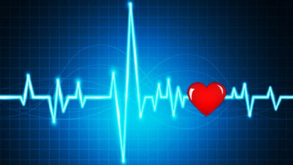 Кардиограмма сердца