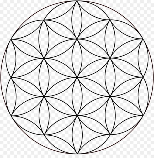 Vesica Piscis цветок жизни