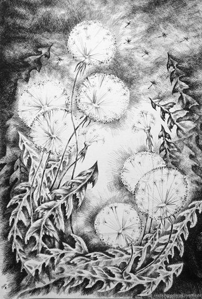 Иллюстрации тушью