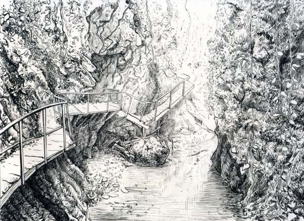 Красивая Графика тушью