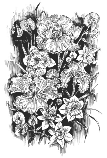 Цветы тушью