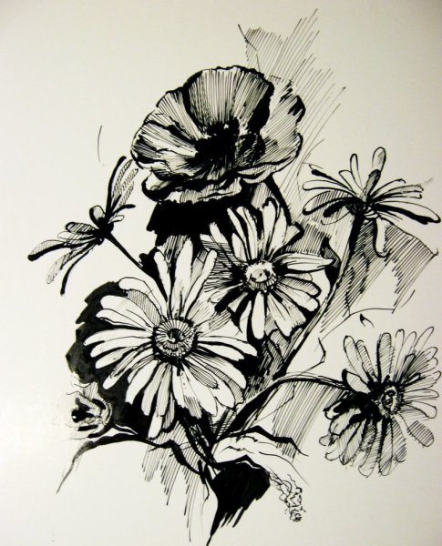 Графика тушью