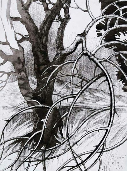 Тушь для рисования