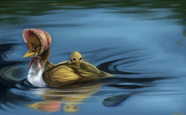 Утенок плывет