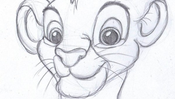 Симба простым карандашом
