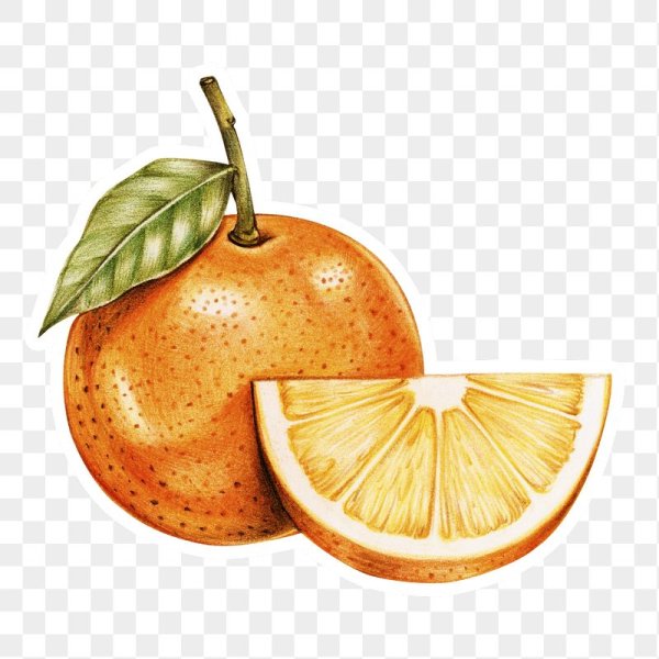 Фрукты иллюстрация