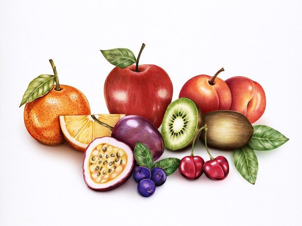 Рисовать фрукты