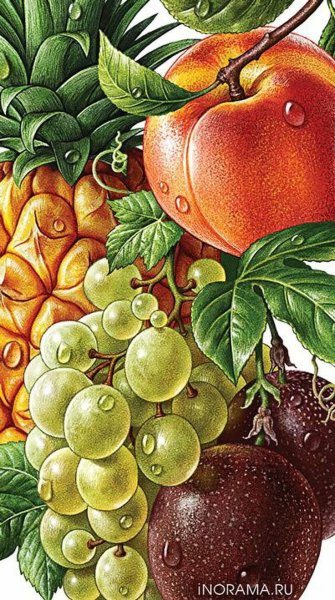 Фрукты в иллюстраторе