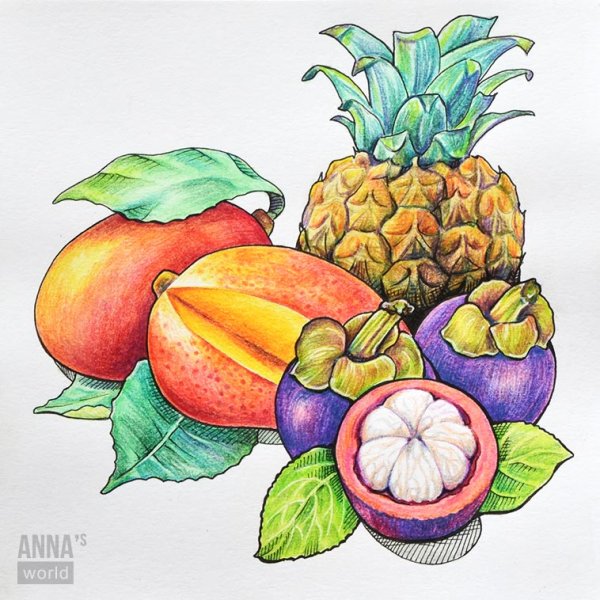 Фрукты для срисовки