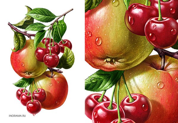 Фрукты для декупажа