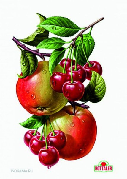 Яблоки Вишенка