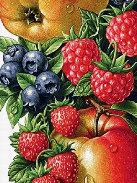 Иллюстрации ягод и фруктов