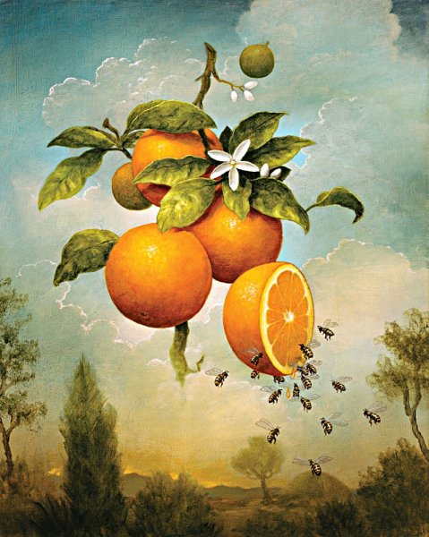 Kevin Sloan картины