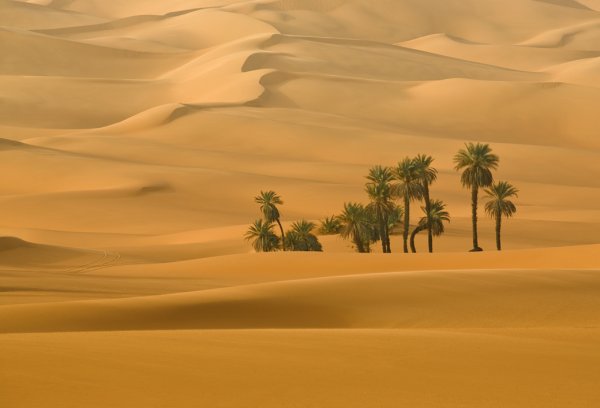 Оазис в пустыне Африки