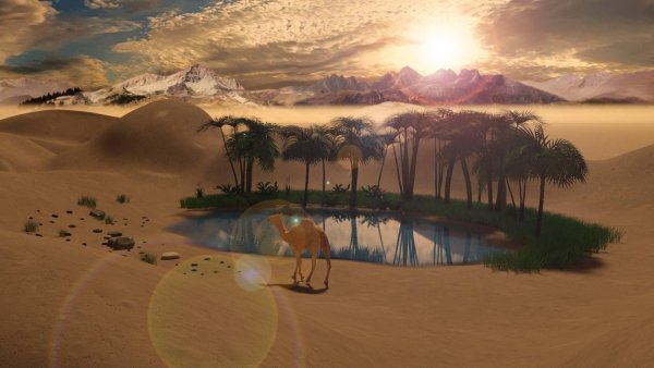 Египет Оазис арт