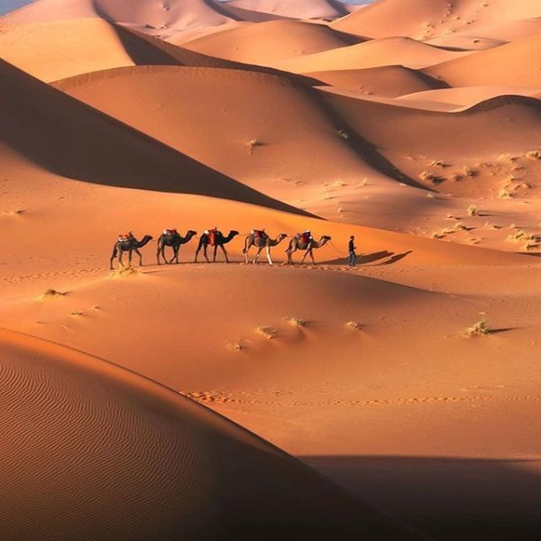 Северная Африка сахара