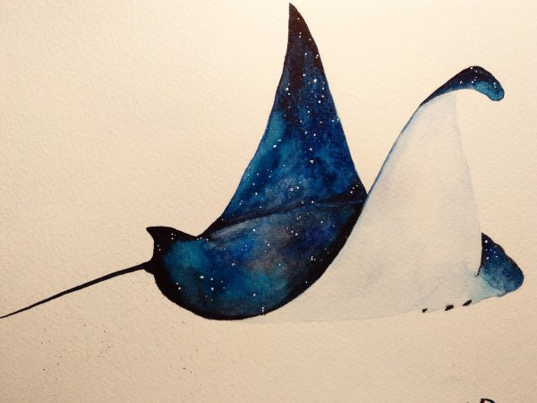 Скат акварель