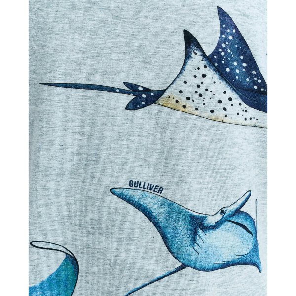 Морской Скат рисунок