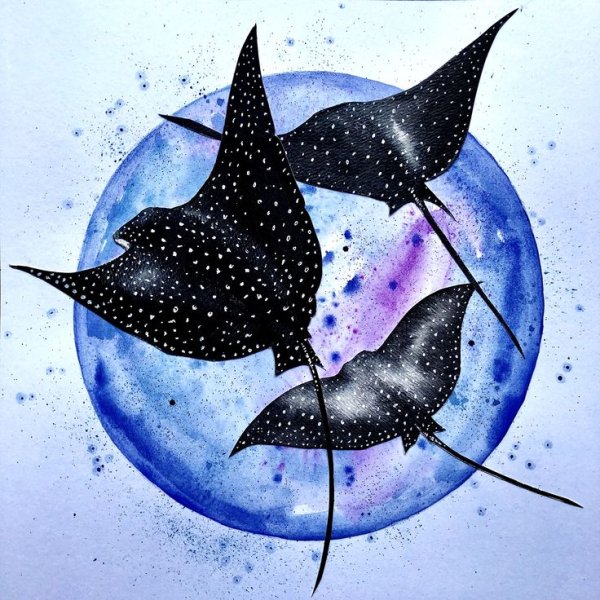 Акварель морской Скат