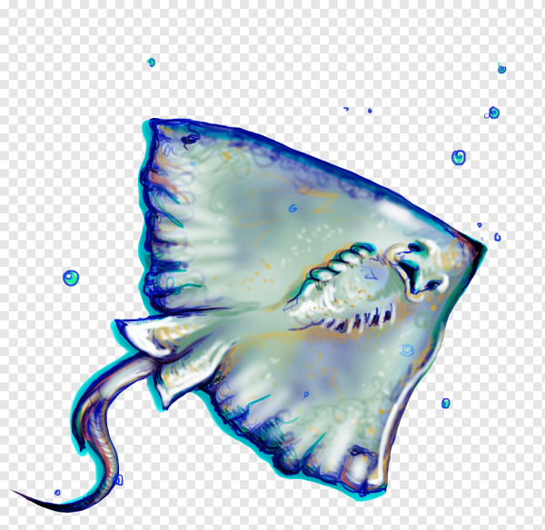 Морской Скат на белом фоне