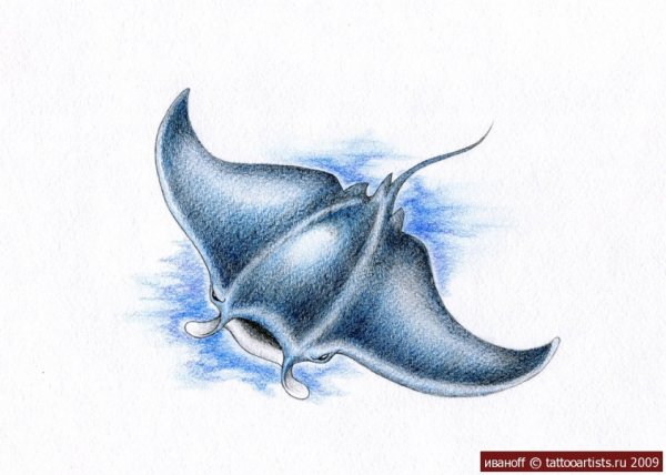 Житков Скат