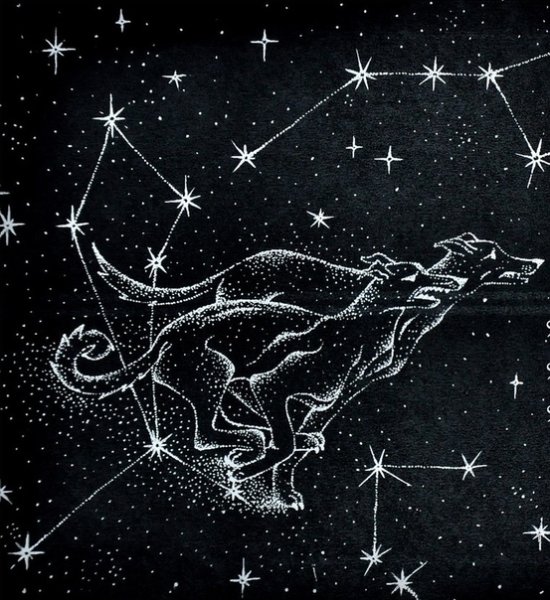 Созвездие гончие псы