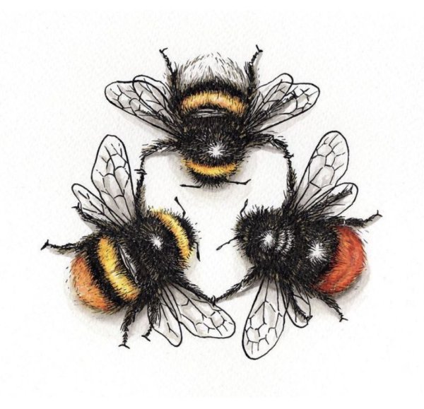 Нарисовать шмеля