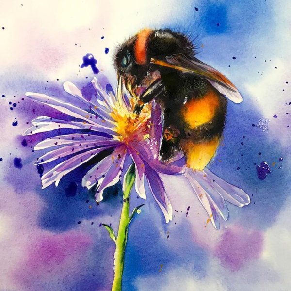 Шмель над цветком