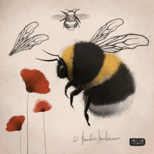 Нарисовать шмеля