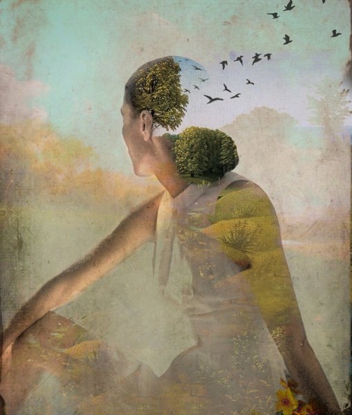 Художник Catrin Welz-Stein