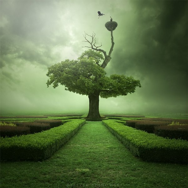 Лежек Бужновски