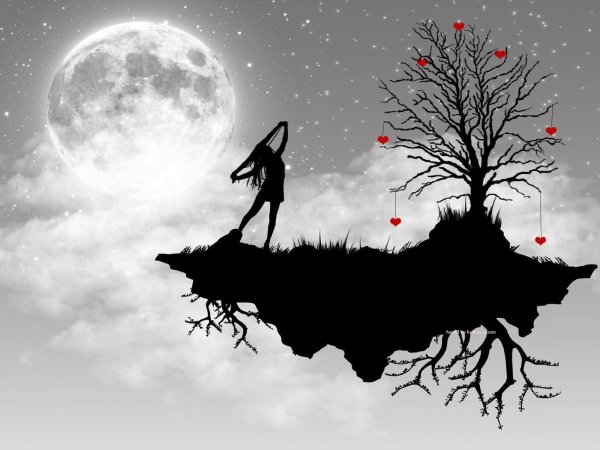 Необычные силуэты