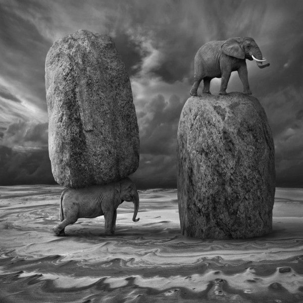 Дариуш Климчак