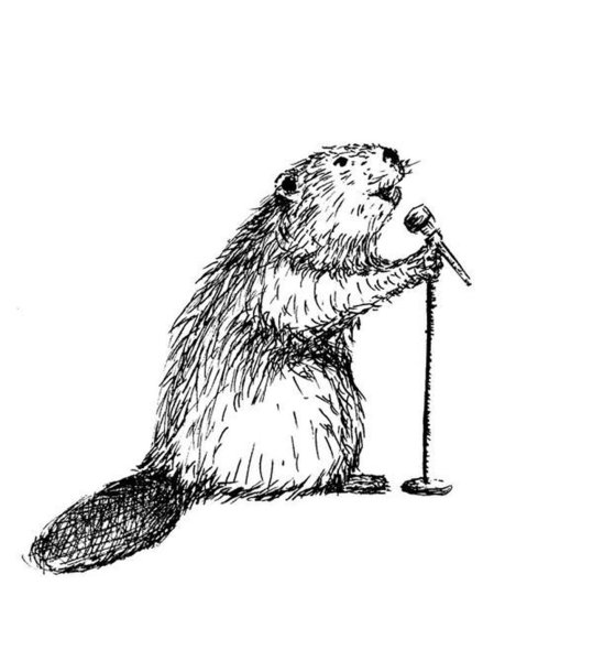 Бобр Графика