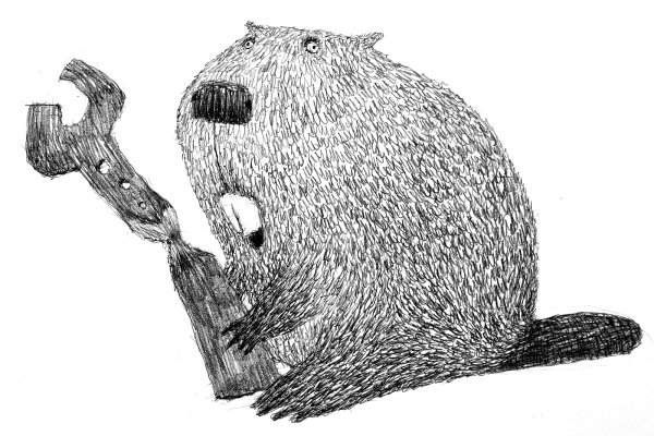 Бобер рисунок