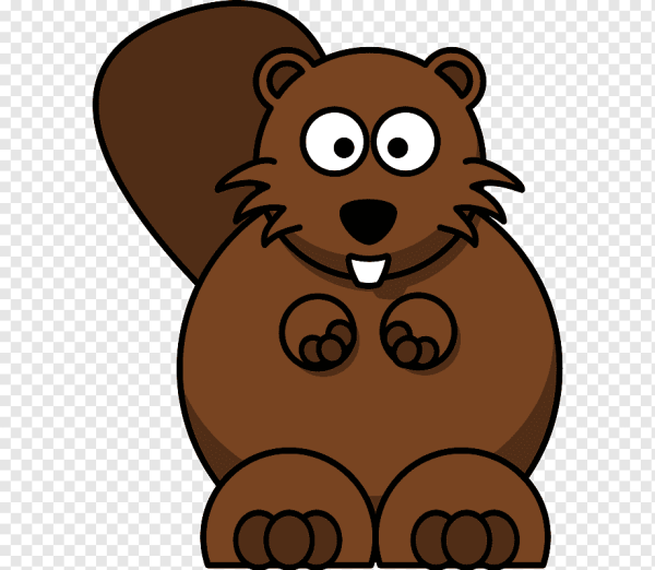 Бобер рисованный